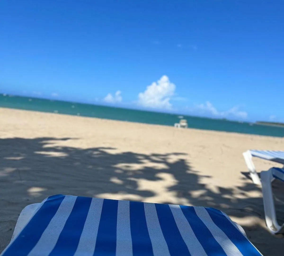 Beautiful Apartment In Playa Dorada Puerto Plata 0*,  Dominik Cumhuriyeti