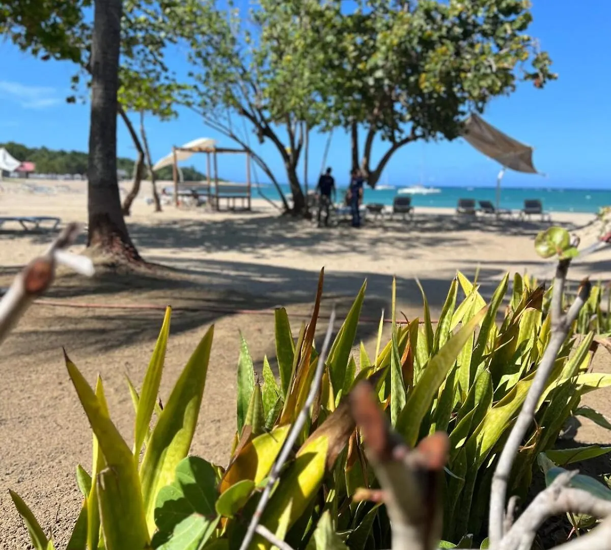 Beautiful Apartment In Playa Dorada Puerto Plata Dominik Cumhuriyeti